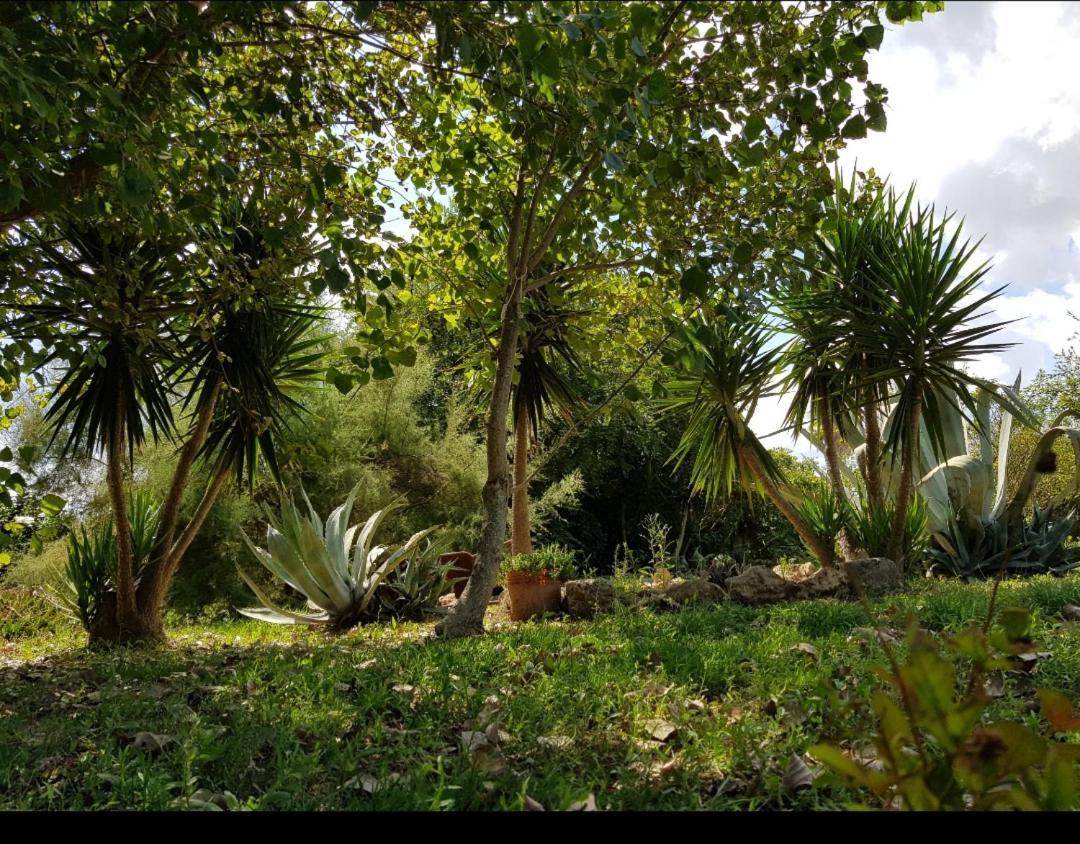Salento Lapezzaaculuri Villa Guagnano Bagian luar foto